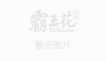 廣東霸王花食品有限公司被授予“世界客屬第23屆懇親大會志愿服務特別貢獻獎”
